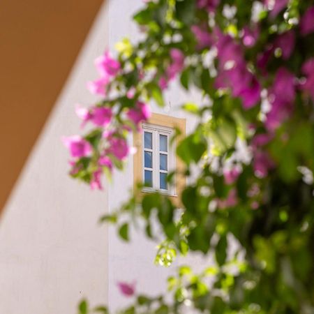 Casa Morgado Esporao Bed and Breakfast Έβορα Εξωτερικό φωτογραφία