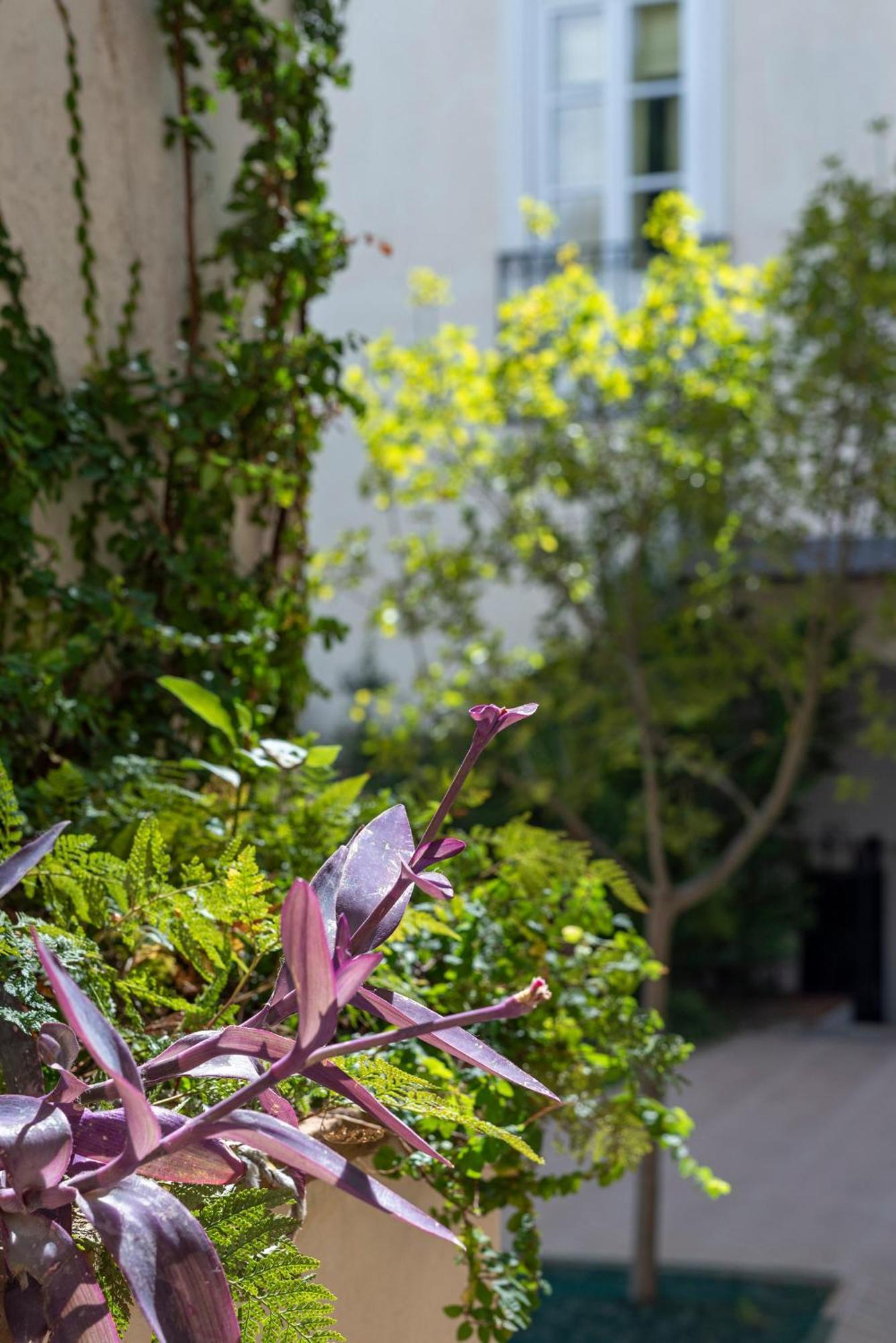 Casa Morgado Esporao Bed and Breakfast Έβορα Εξωτερικό φωτογραφία