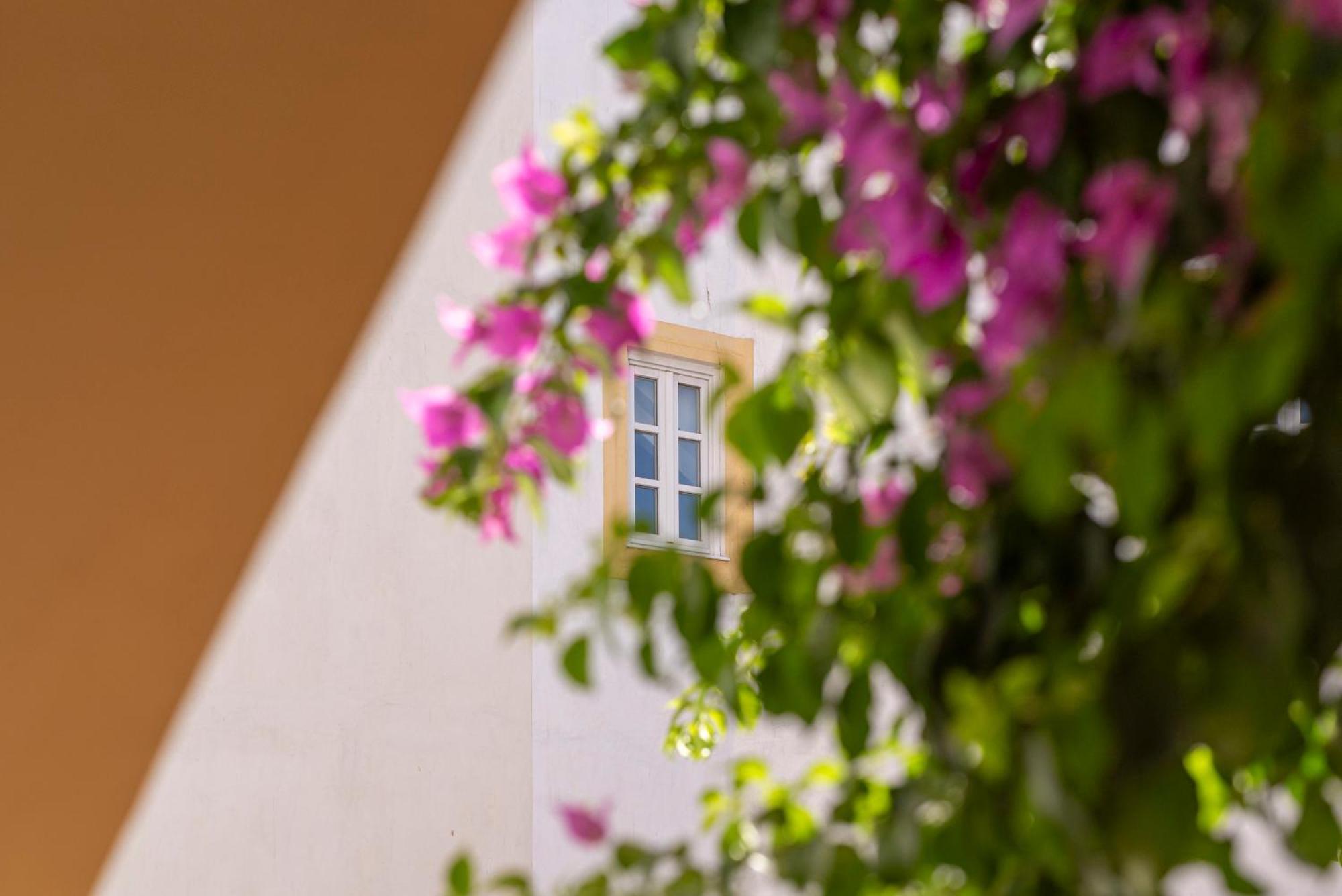 Casa Morgado Esporao Bed and Breakfast Έβορα Εξωτερικό φωτογραφία